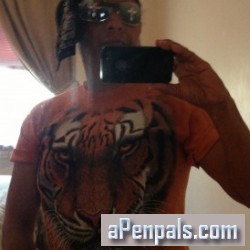 Tacos, Muscatine, United States Tacos, Muscatine, United States